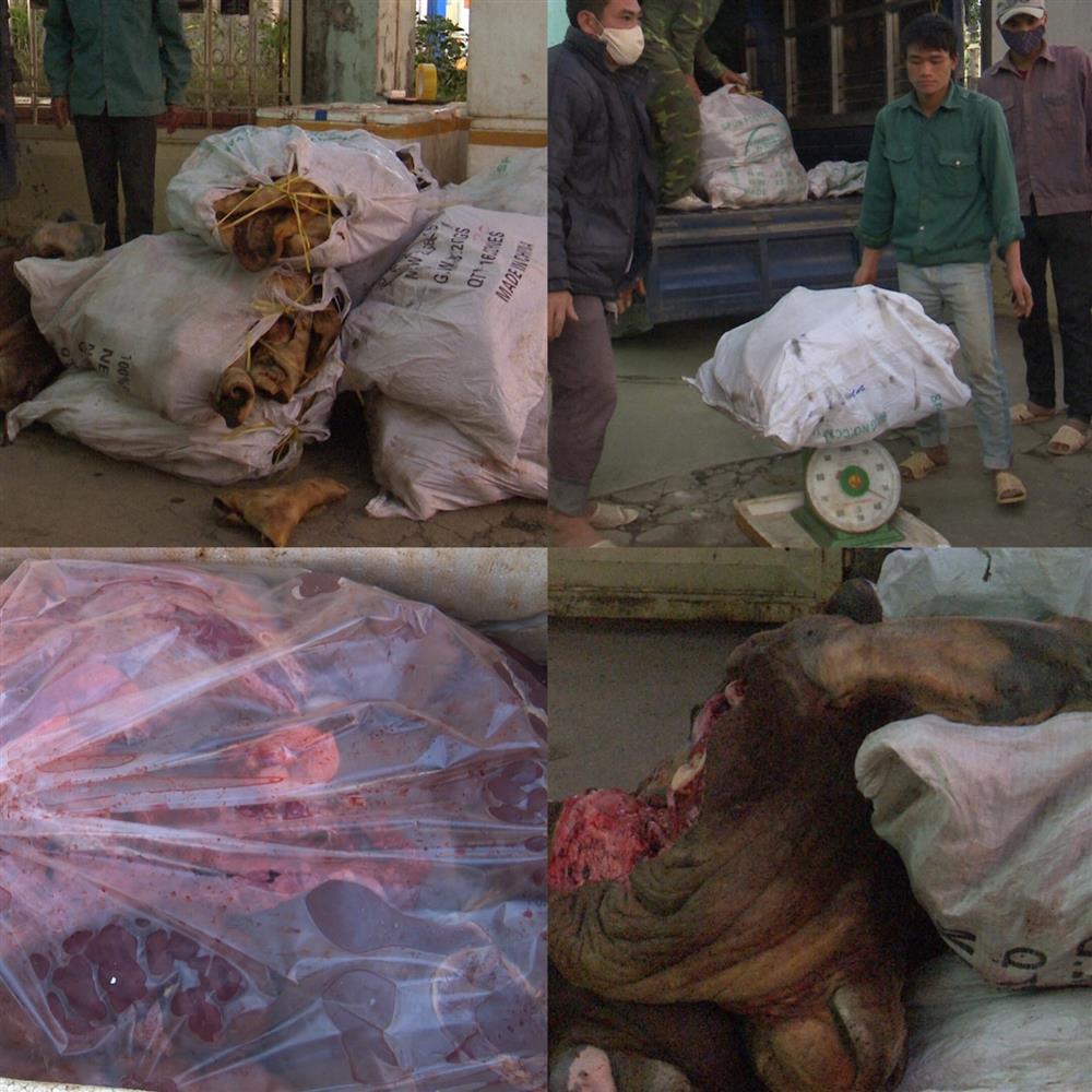 Phát hiện và tiêu hủy gần 1.300kg sản phẩm động vật đã bốc mùi hôi thối